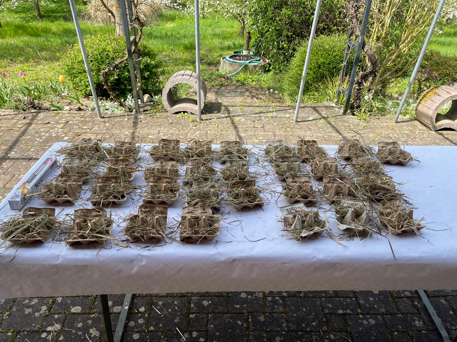 WhatsApp Bild 2025-04-19 um 18.06.30_0277f95e