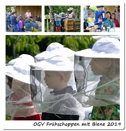 OGV Frühschoppen mit Biene 2019